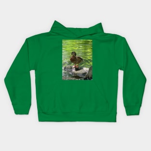 Birds - Duck on Rocks Kids Hoodie